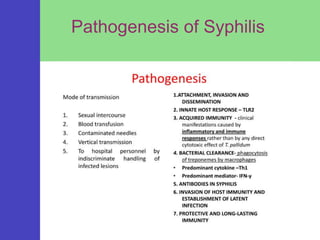 Pathogenesis of Syphilis
 