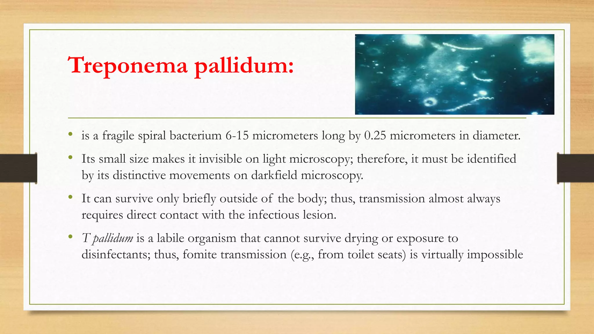 Treponema pallidum:
• is a fragile spiral bacterium 6-15 micrometers long by 0.25 micrometers in diameter.
• Its small size makes it invisible on light microscopy; therefore, it must be identified
by its distinctive movements on darkfield microscopy.
• It can survive only briefly outside of the body; thus, transmission almost always
requires direct contact with the infectious lesion.
• T pallidum is a labile organism that cannot survive drying or exposure to
disinfectants; thus, fomite transmission (e.g., from toilet seats) is virtually impossible
 