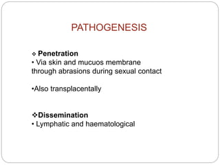 PATHOGENESIS
 Penetration
• Via skin and mucuos membrane
through abrasions during sexual contact
•Also transplacentally
...