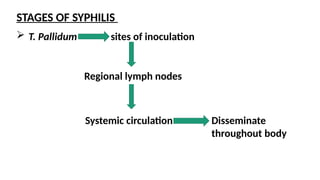 Syphilis complete notes on pathology mode of transmission and etiology ...