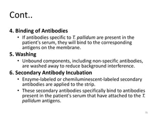 Cont..
4. Binding of Antibodies
• If antibodies specific to T. pallidum are present in the
patient's serum, they will bind to the corresponding
antigens on the membrane.
5. Washing
• Unbound components, including non-specific antibodies,
are washed away to reduce background interference.
6. Secondary Antibody Incubation
• Enzyme-labeled or chemiluminescent-labeled secondary
antibodies are applied to the strip.
• These secondary antibodies specifically bind to antibodies
present in the patient's serum that have attached to the T.
pallidum antigens.
78
 