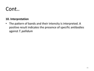Cont..
10. Interpretation
• The pattern of bands and their intensity is interpreted. A
positive result indicates the presence of specific antibodies
against T. pallidum
80
 