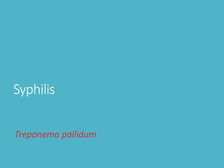 Syphilis
Treponema pallidum
 