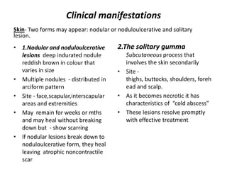 Clinical manifestations
Skin- Two forms may appear: nodular or noduloulcerative and solitary
lesion.
• 1.Nodular and noduloulcerative
lesions deep indurated nodule
reddish brown in colour that
varies in size
• Multiple nodules - distributed in
arciform pattern
• Site - face,scapular,interscapular
areas and extremities
• May remain for weeks or mths
and may heal without breaking
down but - show scarring
• If nodular lesions break down to
noduloulcerative form, they heal
leaving atrophic noncontractile
scar

2.The solitary gumma
Subcutaneous process that
involves the skin secondarily
• Site thighs, buttocks, shoulders, foreh
ead and scalp.
• As it becomes necrotic it has
characteristics of “cold abscess”
• These lesions resolve promptly
with effective treatment

 