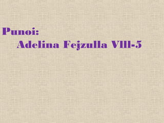 Punoi:
Adelina Fejzulla Vlll-5
 