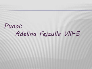 Punoi:
Adelina Fejzulla Vlll-5
 