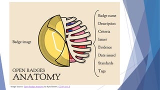 Image Source: Open Badges Anatomy by Kyle Bowen, CC BY-SA 3.0
 