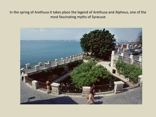 In the spring of Arethusa it takes place the legend of Arethusa and Alpheus, one of the
most fascinating myths of Syracuse
 