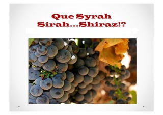 Que Syrah
Sirah...Shiraz!?
 
