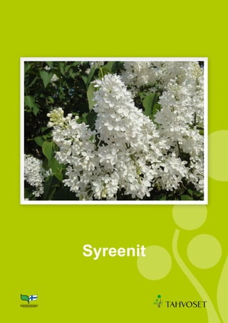 Syreenit
 