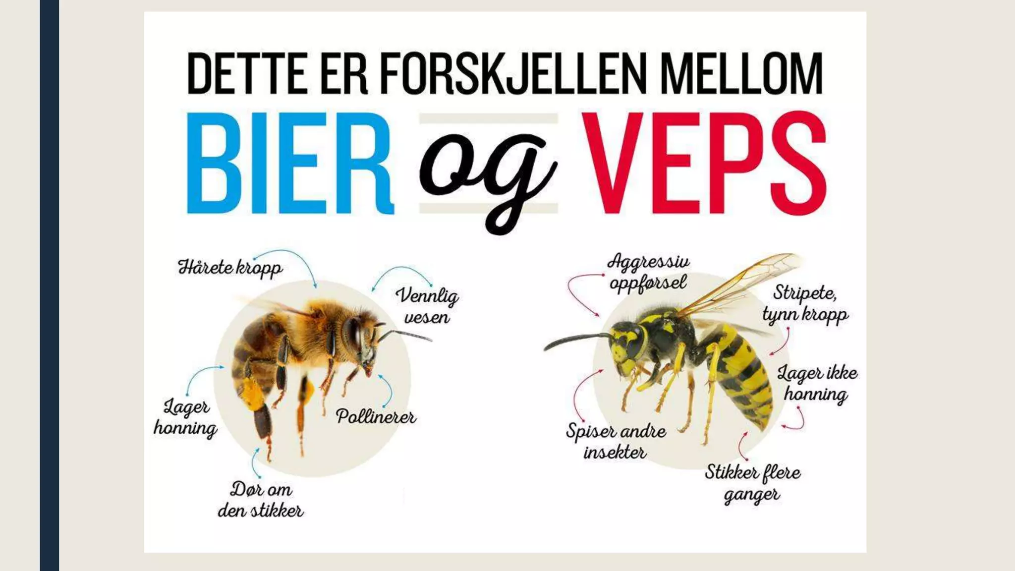 Syrer og baser | PPTX