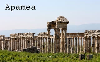 Apamea
 