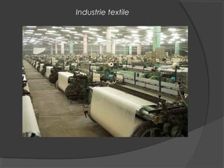 Industrie textile
 