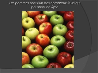 Les pommes sont l’un des nombreux fruits qui
poussent en Syrie
 