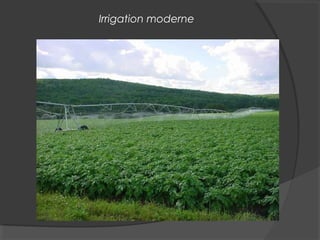 Irrigation moderne
 