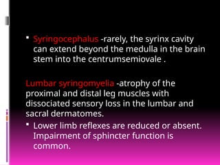 Syringomyelia Rash -syringomyelia clinical and pt neuro pp | PPTX