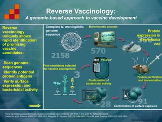 Reverse Vaccinology:
                         A genomic-based approach to vaccine development

Reverse                                        Complete N. meningitidis                       Bioinformatic analysis

vaccinology                                    genome                                                                                                 Protein
                                               sequence                                                                                         expression in
uniquely allows
rapid identification                                                                                                                             Escherichia
of promising                                                                                                                                             coli
vaccine
candidates:
                                                                                                           Vaccine*
■Scan genome
                                            Final candidates selected
sequences                                   for vaccine development
■Identify potential

protein antigens                                                                                                                                Protein purification
■Verify surface                                                                              Confirmation of                                     and immunization
                                                                                           bactericidal activity
expression and
bactericidal activity



                                                                                                                         Confirmation of surface exposure

    *Final candidates selected through reverse vaccinology were combined with PorA 1.4 to yield the 4CMenB vaccine.
    Tettelin H, et al. Science. 2000;287:1809-1815; Rappuoli R. Vaccine. 2001;19:2688-2691; Pizza M, et al. Science. 2000;287:1816-1820.
                                                                                                                                           MEN-MNB-P-S-202-2512011
 