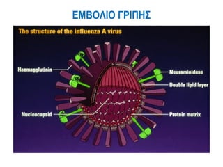 ΕΜΒΟΛΙΟ ΓΡΙΠΗΣ
 