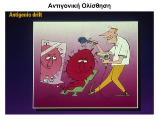 Αντιγονική Ολίσθηση
 
