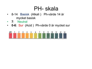 PH- skala
• 8-14 Basisk (Alkali ) Ph-värde 14 är
mycket basisk
• 7: Neutral
• 0-6: Sur (Acid ) Ph-värde 0 är mycket sur
 