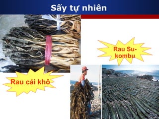 Sấy tự nhiên Rau cải khô Rau Su-kombu 