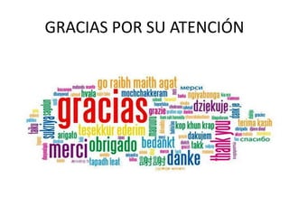 GRACIAS POR SU ATENCIÓN
 