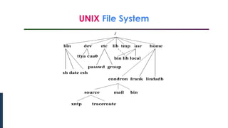 UNIX File System
Introduction to Linux
 
