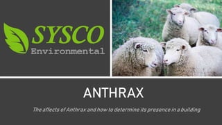 ANTHRAX
The affects of Anthrax and how to determine its presence in a building
 