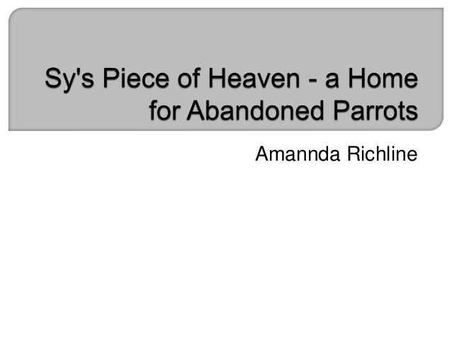 sys piece of heaven a home for abandoned parrots amannda richline