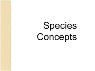 Species Concepts 