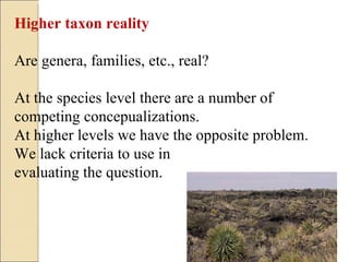 Higher taxon reality  Are genera, families, etc., real? At the species level there are a number of competing concepualizations.  At higher levels we have the opposite problem. We lack criteria to use in  evaluating the question. 