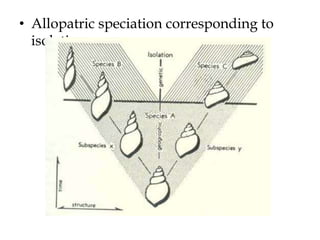 Allopatric speciation corresponding to isolation