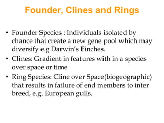 The three extinct subspecies Caspian tiger PantheratigrisvirgataJavan tiger Pantheratigrissondaica 		Bali tiger,  Pantheratigrisbalica.