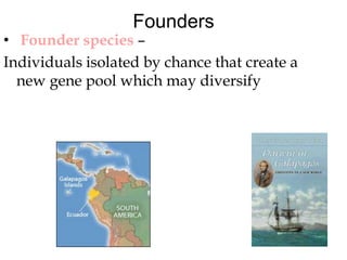 Temporal SubspeciesPaleontology: slightly different populations separated in time are often assigned to the subspecies category. 