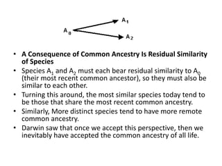 A Consequence of Common Ancestry Is Residual Similarity of SpeciesSpecies A1 and A2 must each bear residual similarity to A0 (their most recent common ancestor), so they must also be similar to each other. Turning this around, the most similar species today tend to be those that share the most recent common ancestry. Similarly, More distinct species tend to have more remote common ancestry. Darwin saw that once we accept this perspective, then we inevitably have accepted the common ancestry of all life.