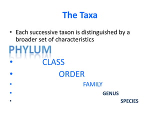 Each successive taxon is distinguished by a broader set of characteristics             CLASS                     ORDER            FAMILYGENUSSPECIESPHYLUMThe Taxa