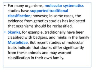 For many organisms, molecular systematicsstudies have supported traditional classification; however, in some cases, the evidence from genetics studies has indicated that organisms should be reclassified. Skunks, for example, traditionally have been classified with badgers, and minks in the family Mustelidae. But recent studies of molecular traits indicate that skunks differ significantly from these animals and may warrant classification in their own family.