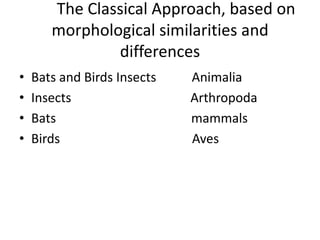 The Classical Approach, based on morphological similarities and differences Bats and Birds Insects           AnimaliaInsects                                     ArthropodaBats                                          mammalsBirds                                         Aves