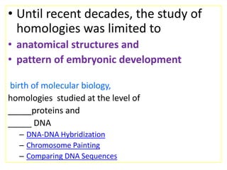Until recent decades, the study of homologies was limited to anatomical structures and pattern of embryonic developmentbirth of molecular biology,homologies  studied at the level of _____proteins and _____ DNA DNA-DNA HybridizationChromosome PaintingComparing DNA Sequences