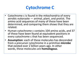 Cytochrome CCytochrome c is found in the mitochondria of every aerobic eukaryote — animal, plant, and protist. The amino acid sequences of many of these have been determined, and comparing them shows that they are related. Human cytochrome c contains 104 amino acids, and 37 of these have been found at equivalent positions in every cytochrome c that has been sequenced. Assumption: each of these molecules has descended from a precursor cytochrome in a primitive microbe that existed over 2 billion years ago. In other words, these molecules are homologous. 