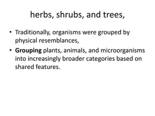 herbs, shrubs, and trees, Traditionally, organisms were grouped by physical resemblances, Grouping plants, animals, and microorganisms into increasingly broader categories based on shared features. 
