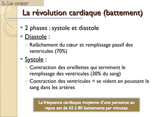 La révolution cardiaque (battement) 2 phases : systole et diastole Diastole  :  Relâchement du cœur et remplissage passif des ventricules (70%) Systole  :  Contraction des oreillettes qui terminent le remplissage des ventricules (30% du sang) Contraction des ventricules = se vident en poussant le sang dans les artères 