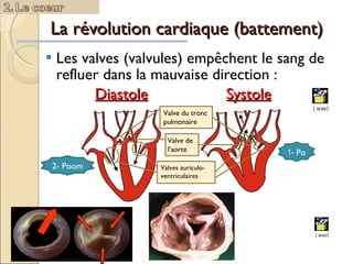 La révolution cardiaque (battement) Les valves (valvules) empêchent le sang de refluer dans la mauvaise direction : Valve du tronc pulmonaire  Valves auriculo-ventriculaires Diastole   Systole Valve de l’aorte 1-  Po  2- Poom  