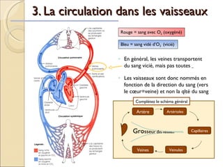 3. La circulation dans les vaisseaux Rouge = sang avec O 2  (oxygéné)   Bleu = sang vidé d’O 2  (vicié)   En général, les veines transportent du sang vicié, mais pas toutes  Les vaisseaux sont donc nommés en fonction de la direction du sang (vers le cœur=veine) et non la qlté du sang Artère Artérioles Capillaires Gro ss eu r   d e s   va issea u x Veines Veinules Complétez le schéma général 