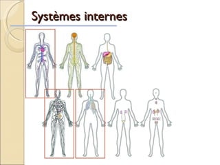 Systèmes internes 
