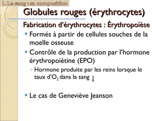 Globules rouges (érythrocytes) Formés à partir de cellules souches de la moelle osseuse Contrôle de la production par l’hormone érythropoïétine (EPO) Hormone produite par les reins lorsque le taux d’O 2  dans la sang  Le cas de Geneviève Jeanson Fabrication d’érythrocytes : Érythropoïèse 