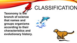 CLASSIFICATION
Taxonomy is the
branch of science
that names and
groups organisms
according to their
characteristics and
evolutionary history.
 
