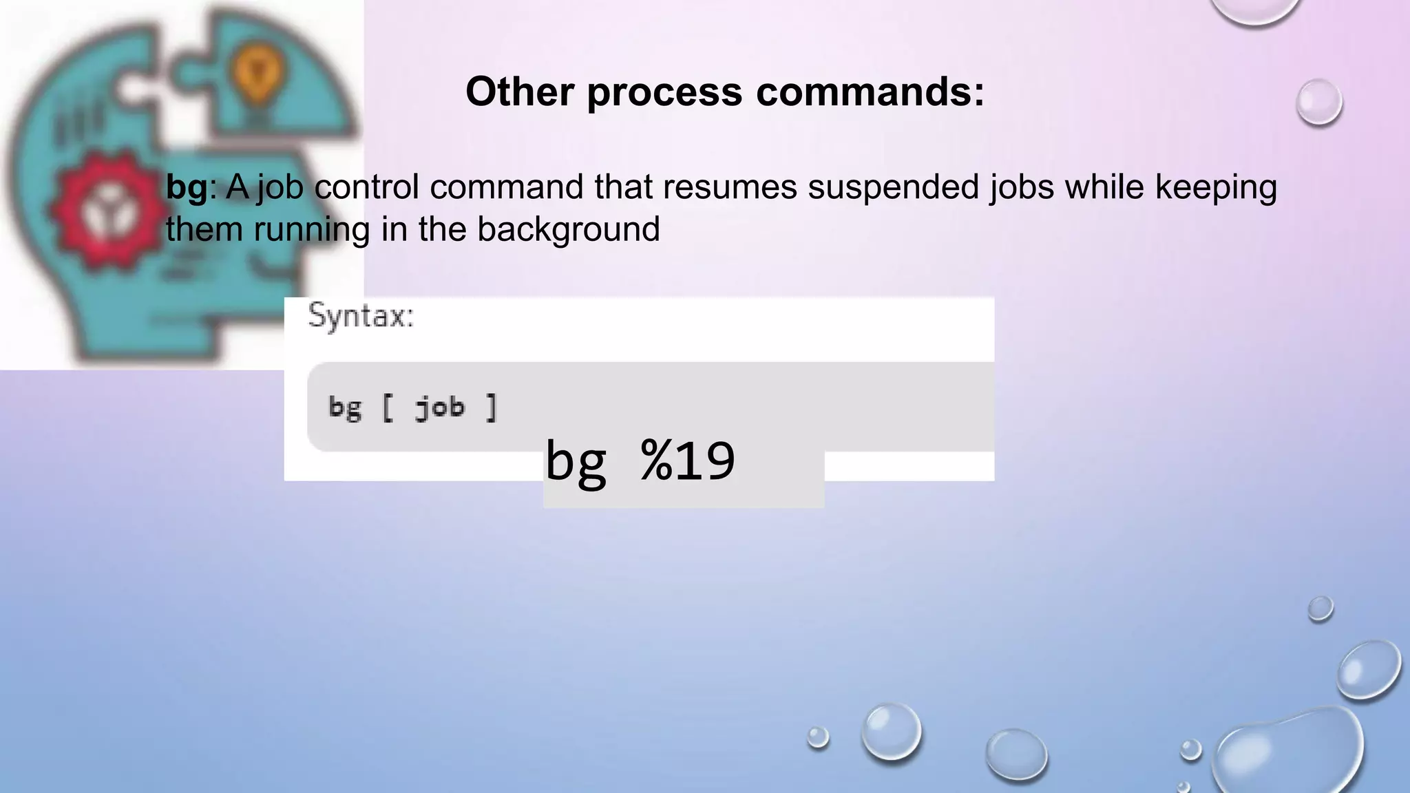 Other process commands:
bg: A job control command that resumes suspended jobs while keeping
them running in the background
bg %19
 