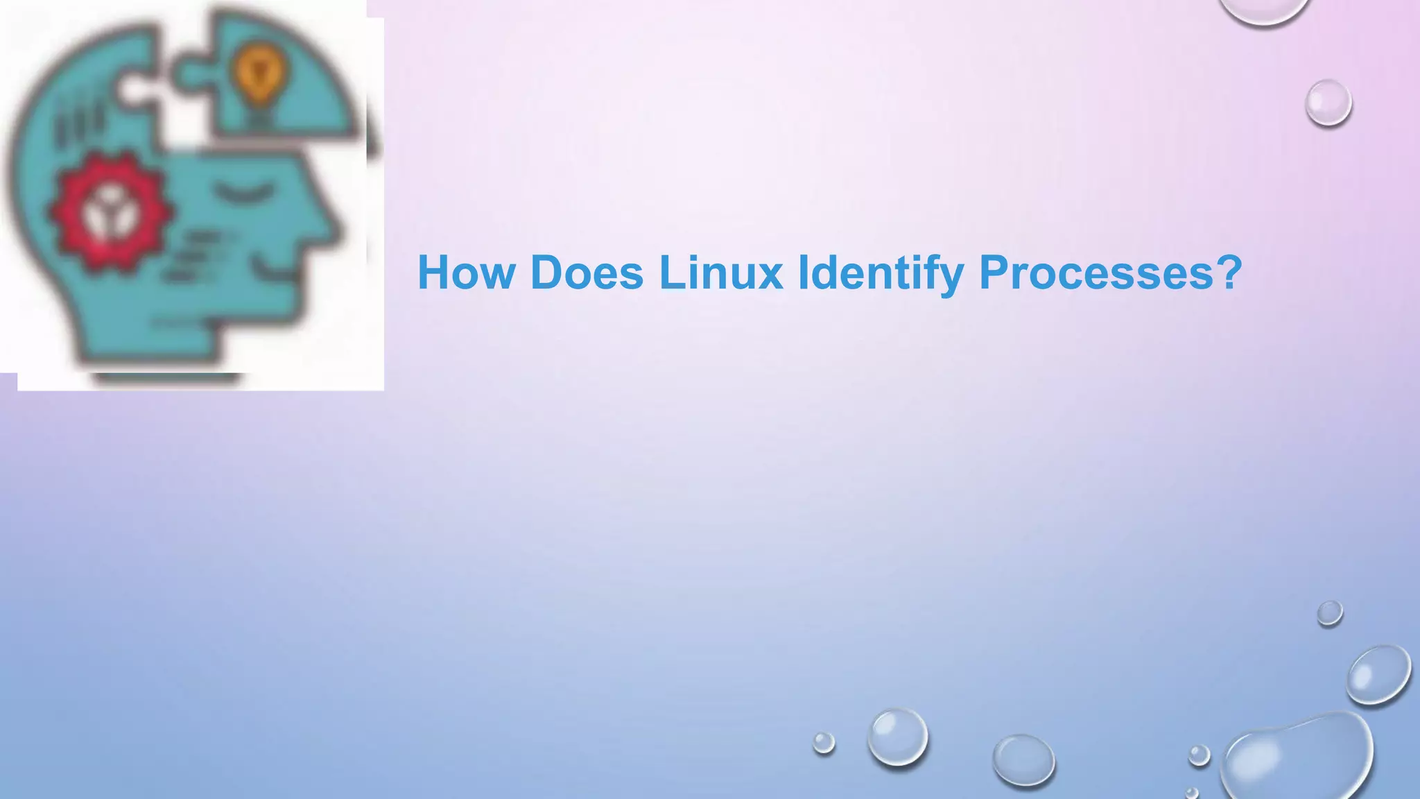 How Does Linux Identify Processes?
 