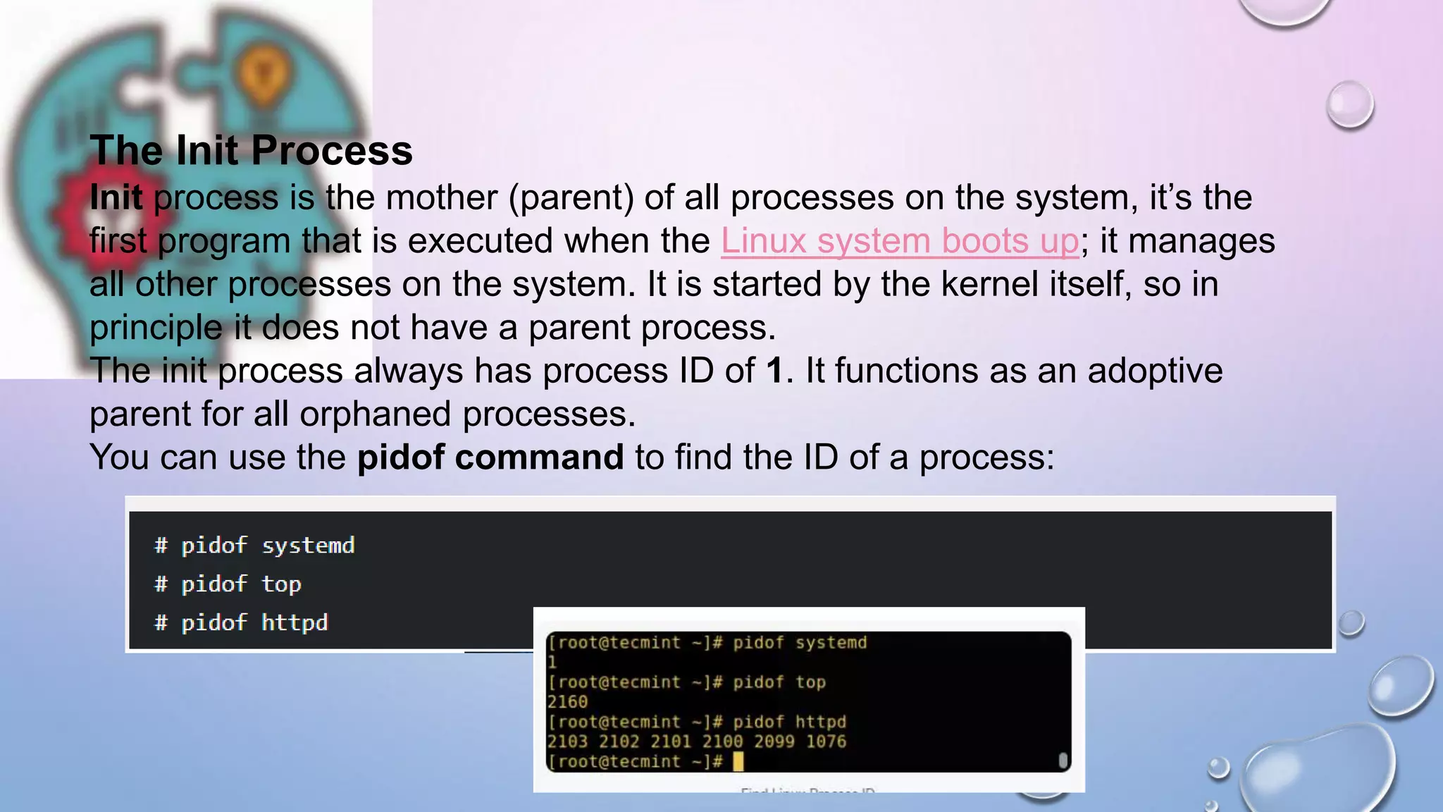 The Init Process
Init process is the mother (parent) of all processes on the system, it’s the
first program that is executed when the Linux system boots up; it manages
all other processes on the system. It is started by the kernel itself, so in
principle it does not have a parent process.
The init process always has process ID of 1. It functions as an adoptive
parent for all orphaned processes.
You can use the pidof command to find the ID of a process:
 